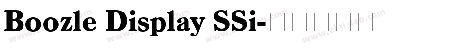 Boozle Display SSi字体转换